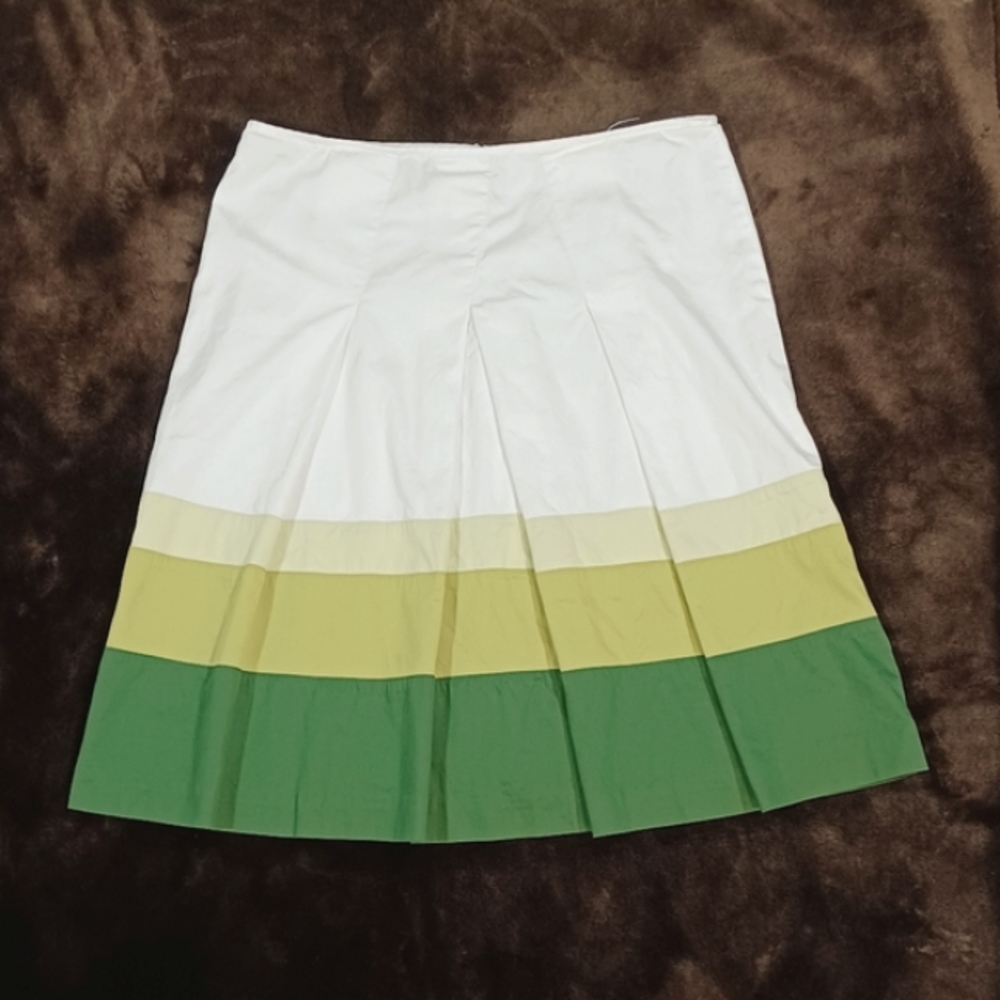 Talbots Retro Skirt